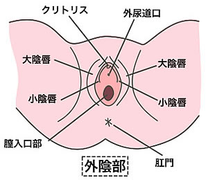 まんこ(まんこ)